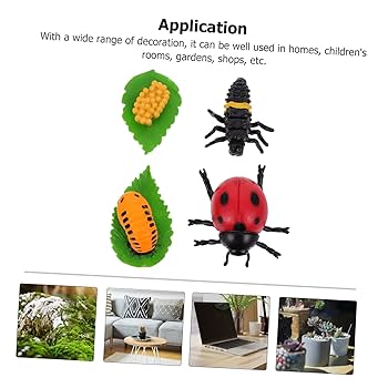 Amazon | MUSISALY 4個 てんとう虫の成長飾り 幼虫のおもちゃ
